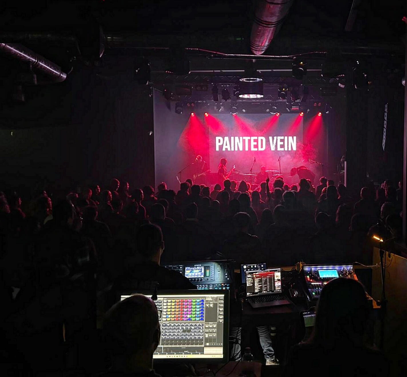 Painted Vein live Painted Vein Italian Tour